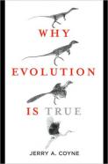 Warum Evolution wahr ist von Jerry Coyne
