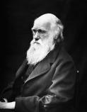 Darwin-Jahr Bild