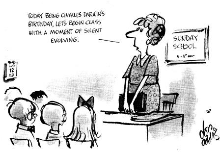 Eine Runde stilles Evolvieren, Don Addis