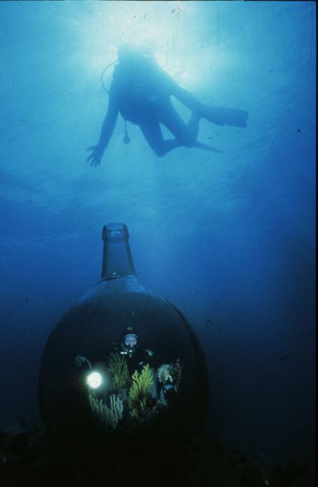 Taucher in der Flasche (Foto: IKAN)