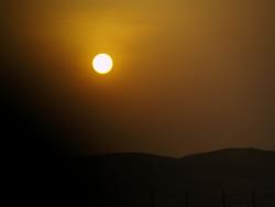 Untergang der Vernunft