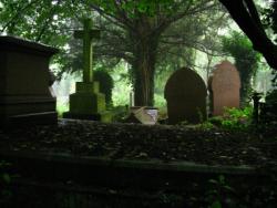 Friedhof (Foto: morguefile.com)