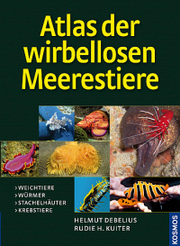 Atlas der wirbellosen Meerestiere