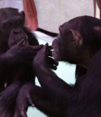 Erkenne dich selbst! (Bild: nationalgeographic.com)