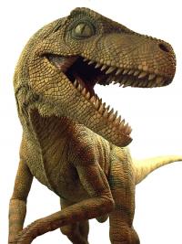 Velociraptor Velociraptor