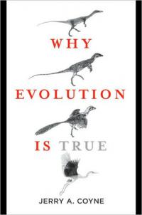 Warum Evolution wahr ist von Jerry Coyne