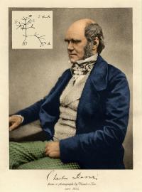 Charles Darwin, evolutionsbiologen.de