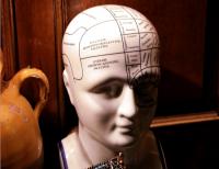 Menschen glauben sogar an Phränologie