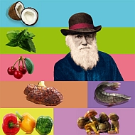 Darwin_Lebensmittel_090209