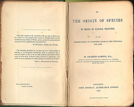 The Origin of Species Titelseite
