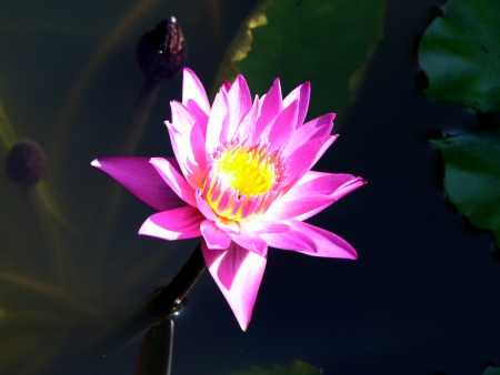 Eine ziemlich lahme Anspielung